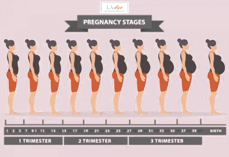 First Trimester (Weeks 1–12): Early Changes You Might Not Notice Sunbury